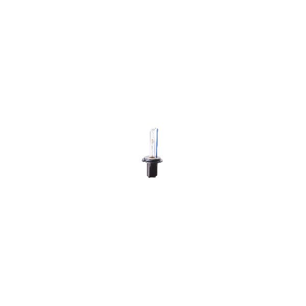 RICAMBI LAMPADE XENON H1 6000K 12-24V