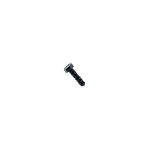 VITI TE 8.8 5738 10X100X1.25